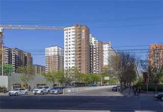 重庆交易进口软件有哪些品牌